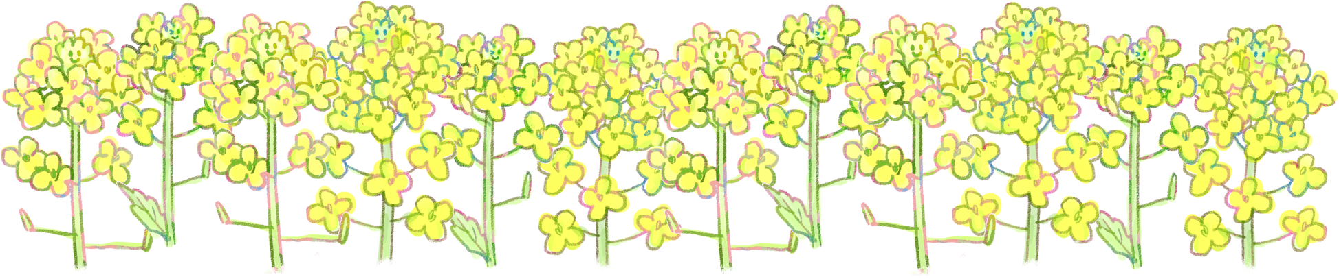 菜の花イラスト 早春の挿絵に 1輪 3輪 ライン 可愛い無料イラスト素材集