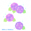 紫陽花のイラスト　/ 梅雨のクリップアートに